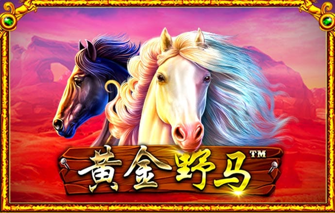 九游体育官网入口